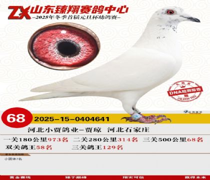 山东臻翔决赛68名