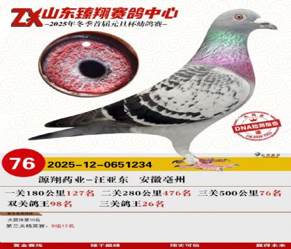 山东臻翔决赛76名