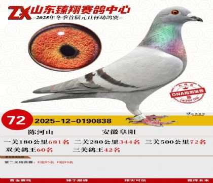 山东臻翔决赛72名