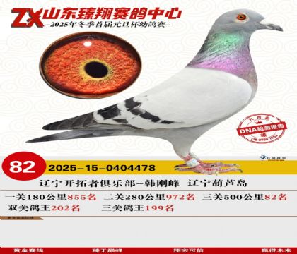 山东臻翔决赛82名