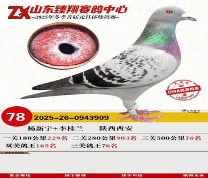 山东臻翔决赛78名