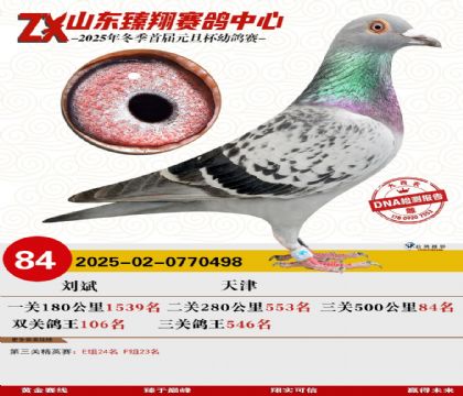 山东臻翔决赛84名