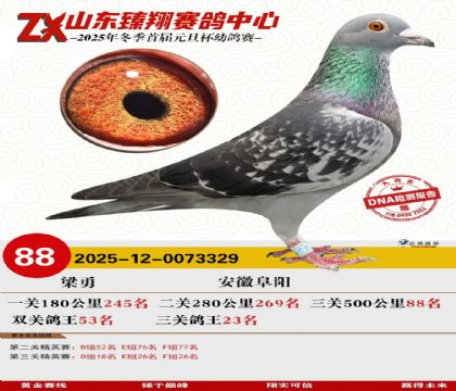 山东臻翔决赛88名