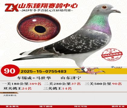 山东臻翔决赛90名