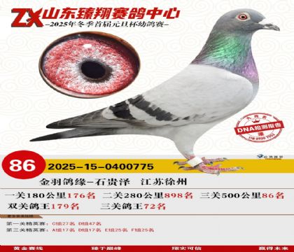 山东臻翔决赛86名