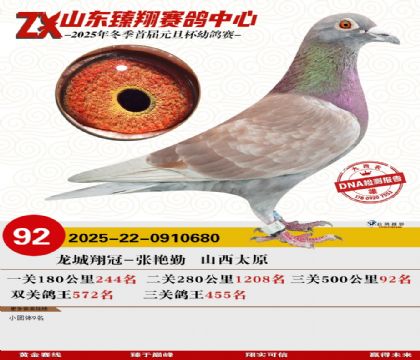 山东臻翔决赛92名