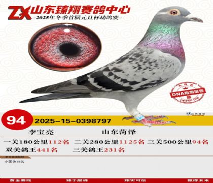 山东臻翔决赛94名