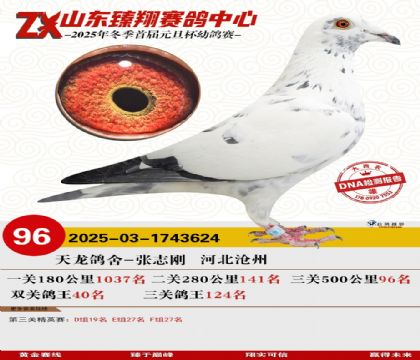 山东臻翔决赛96名