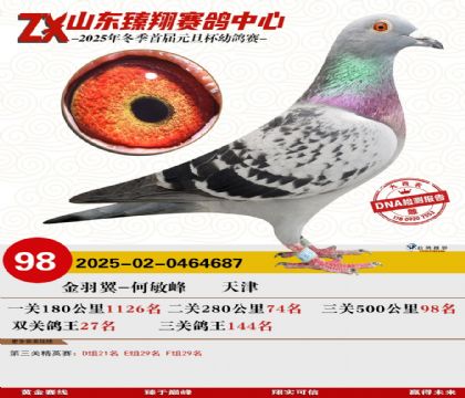 山东臻翔决赛98名