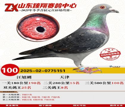 山东臻翔决赛100名