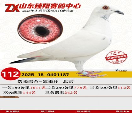 山东臻翔决赛112名