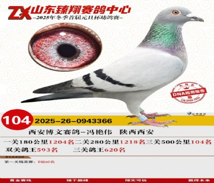 山东臻翔决赛104名