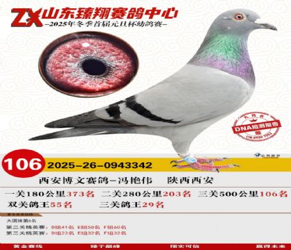 山东臻翔决赛106名