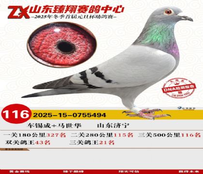 山东臻翔决赛116名