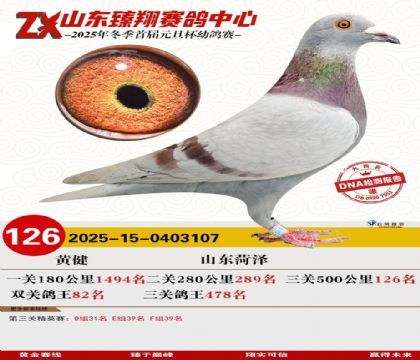 山东臻翔决赛126名