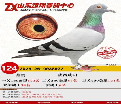 山东臻翔决赛124名