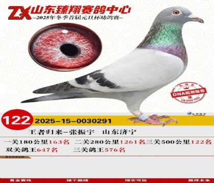 山东臻翔决赛122名