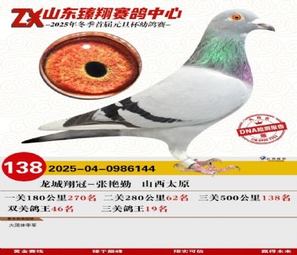 山东臻翔决赛138名