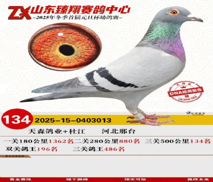 山东臻翔决赛134名