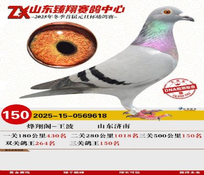 山东臻翔决赛150名