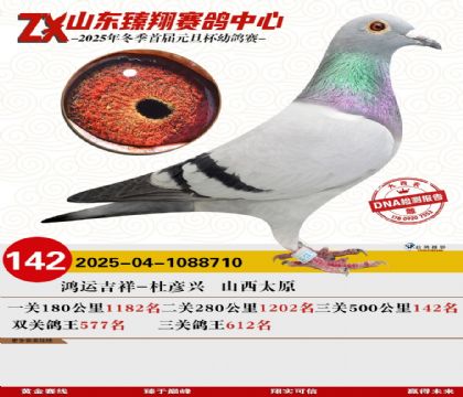 山东臻翔决赛142名