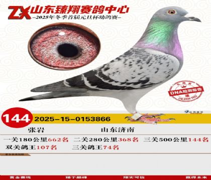 山东臻翔决赛144名