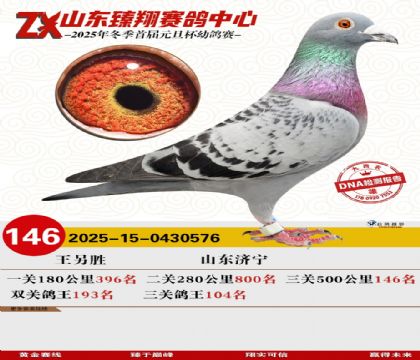 山东臻翔决赛146名