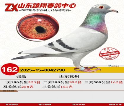 山东臻翔决赛162名