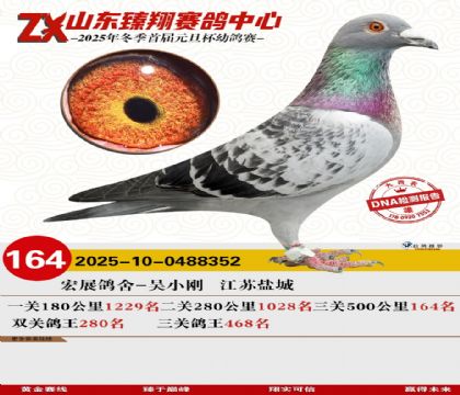 山东臻翔决赛164名