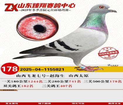 山东臻翔决赛178名