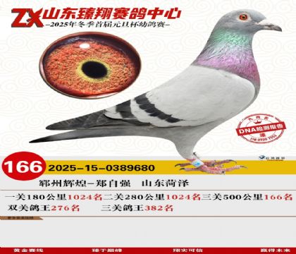 山东臻翔决赛166名