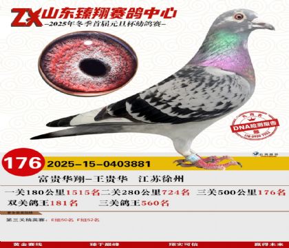 山东臻翔决赛176名