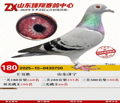 山东臻翔决赛180名