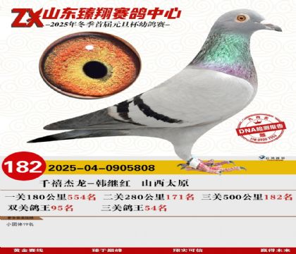 山东臻翔决赛182名