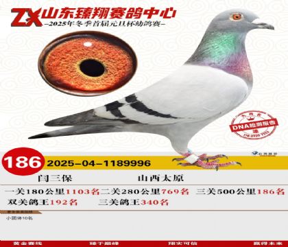 山东臻翔决赛186名