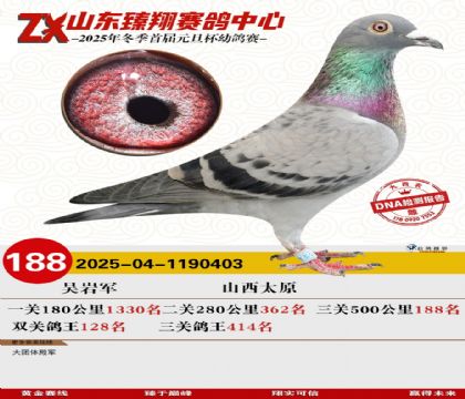 山东臻翔决赛188名