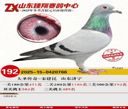 山东臻翔决赛192名