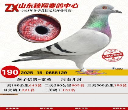 山东臻翔决赛190名