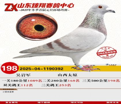 山东臻翔决赛198名