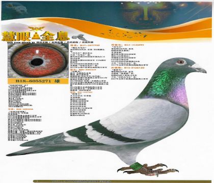 ������ɯ��ԭ�� ȫ���о������ֱ��-6055271-1