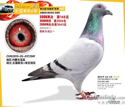 �꽨�������148��-0372061