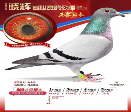 ���Թ������75��-1826007