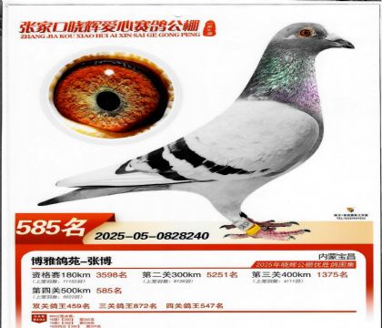 ���Թ����Ĺظ���-0828240