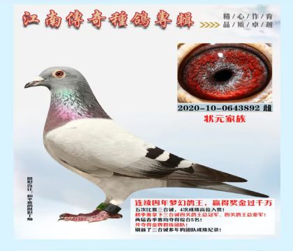 ���ϴ��� ״Ԫ����-0643892