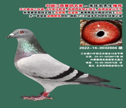 ���ϴ��� ��ظ���16��ƽ��-0032804