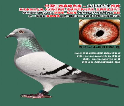 ���ϴ��� ���弾��-0031885