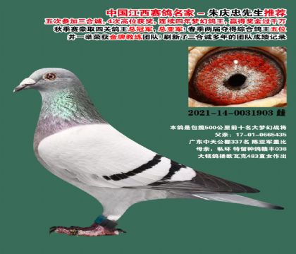 ���ϴ��� 500������λ�ս��-0031903