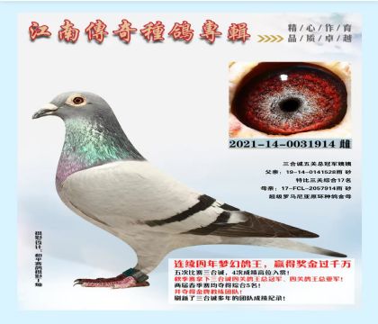 ���ϴ��� ����ܹھ�����-0031914