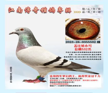 ���ϴ��� �ǱȽ�С��-0355502