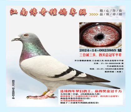 ���ϴ��� �����ܹھ�ƽ��-0023865